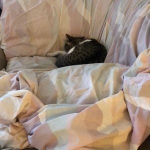 Meet your Posher, Cy